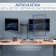 Dual Monitor Desk Stand