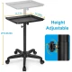 NEW Salon Tray Cart