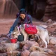 Big Baxter Dog Backpack